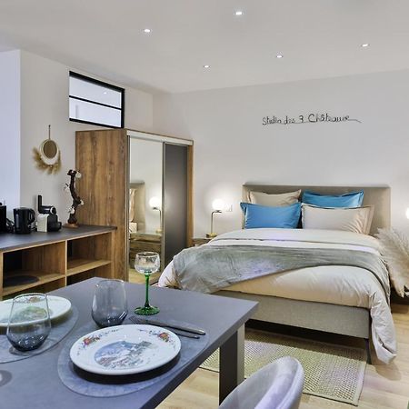 Studio Des 3 Chateaux Husseren-les-Chateaux Luaran gambar